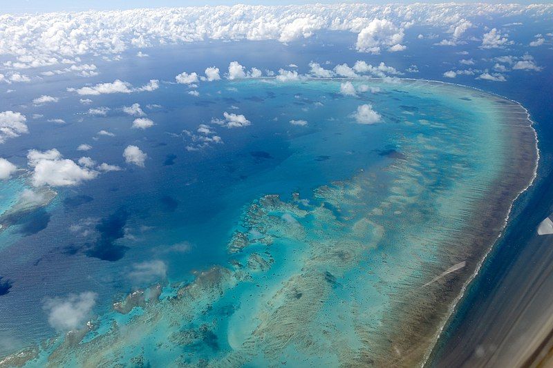 File:Arlington-Reef-2018-aerial-view-Luka-Peternel.jpg