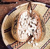 The fruit of the African Baobab tree