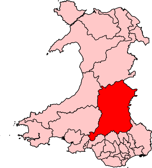 File:BreconRadnorCwmTawe2024Constituency.svg