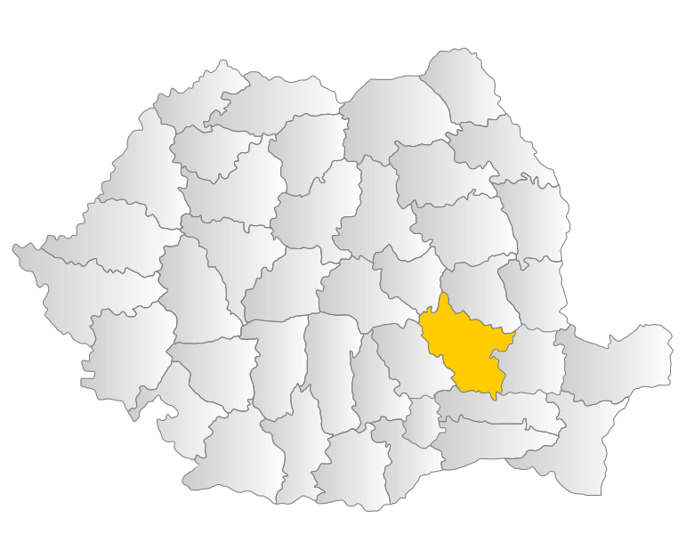 File:Buzau.svg