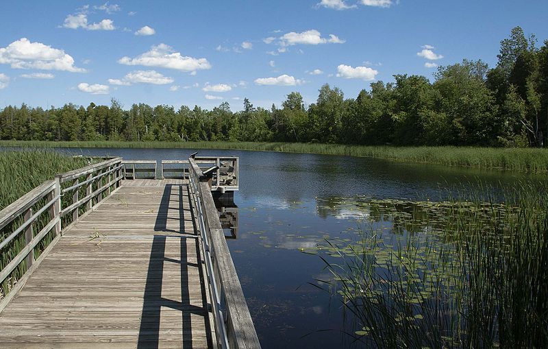 File:Ced-Bog pier June2013.jpg