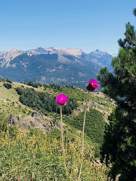 File:Cerro Otto verano.jpg