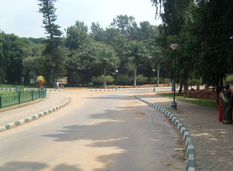 File:Cubbon Park Avenues.JPG