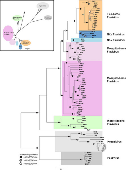 File:Doi.org-10.7717-peerj.74-Fig-1-full.png