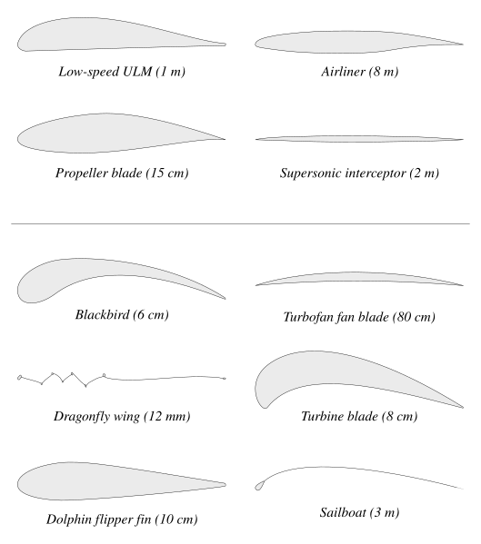 File:Examples of Airfoils.svg