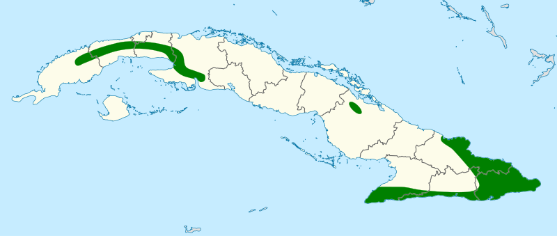 File:Geotrygon caniceps map.svg