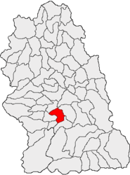 Location in Hunedoara County