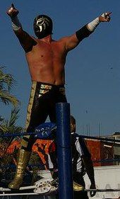 The wrestler La Sombra standing on the second rope of a wrestling ring, pointing to the fans during an outdoor event.