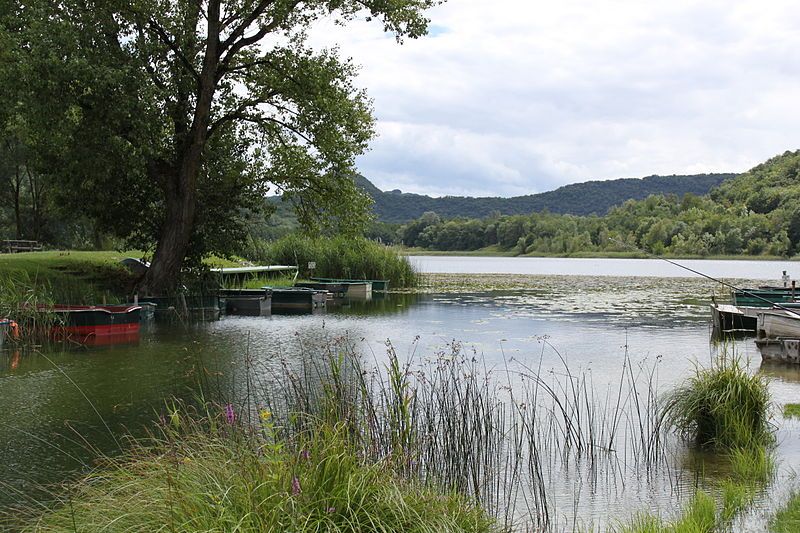 File:Lac de Barterand.jpg