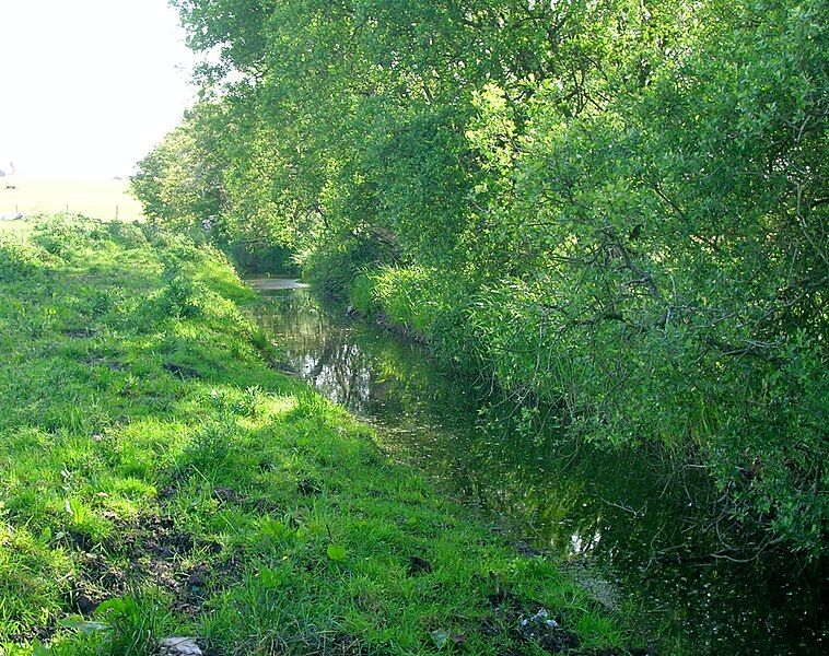 File:Loch Fergus Burn.jpg