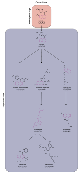 File:Medical quinolines pathway.png