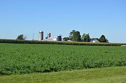 Farm northeast of Fletcher