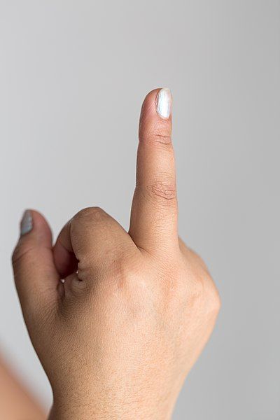 File:The finger.jpg