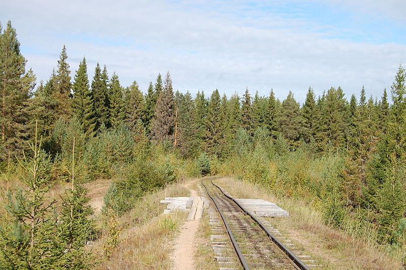 File:Zelennikovskaya railway3.jpg