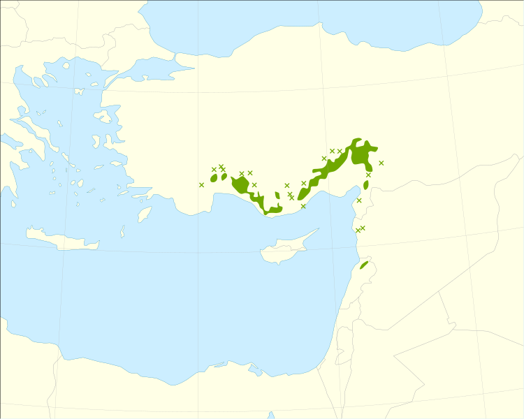 File:Abies cilicica range.svg