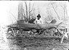 Alligator gar caught in Rio Grande, TX in 1951