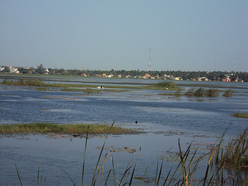 File:AmbatturEri Lake.JPG