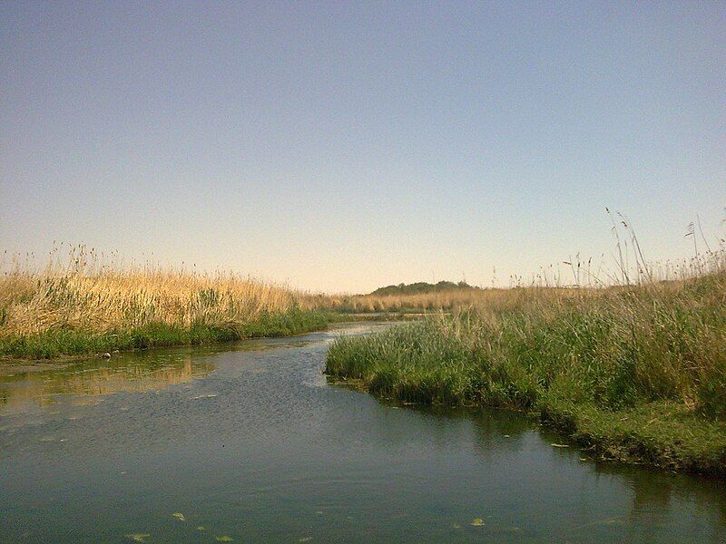 File:Azraq view.jpg