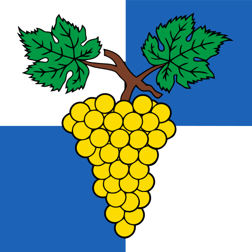 File:CHE Echichens Flag.svg