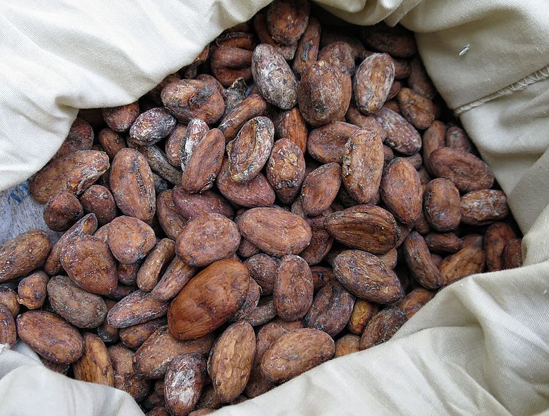 File:Cocoa beans.jpg