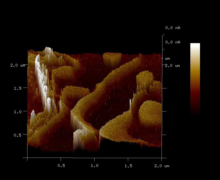 File:Ferritin tunneling.tif