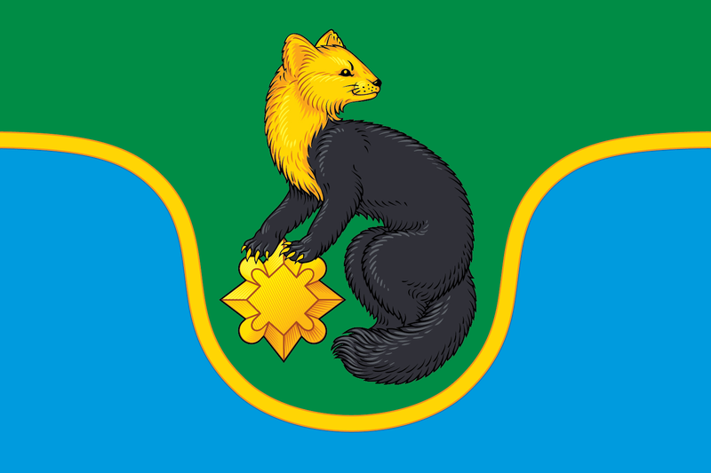 File:Flag of Zhuinskoe.png