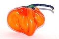 Habanero