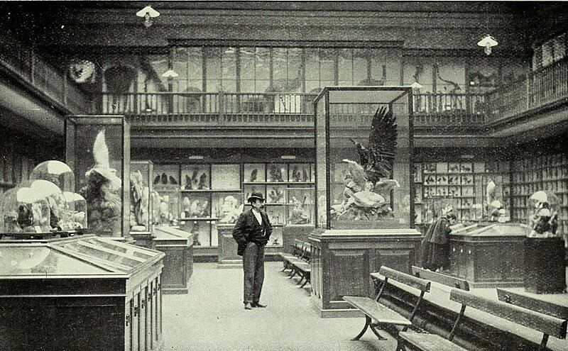 File:Hancock bird room.jpg