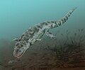 Koskinonodon, North America (Carnian)