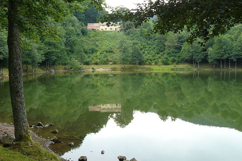 File:Lachtelweiher.jpg