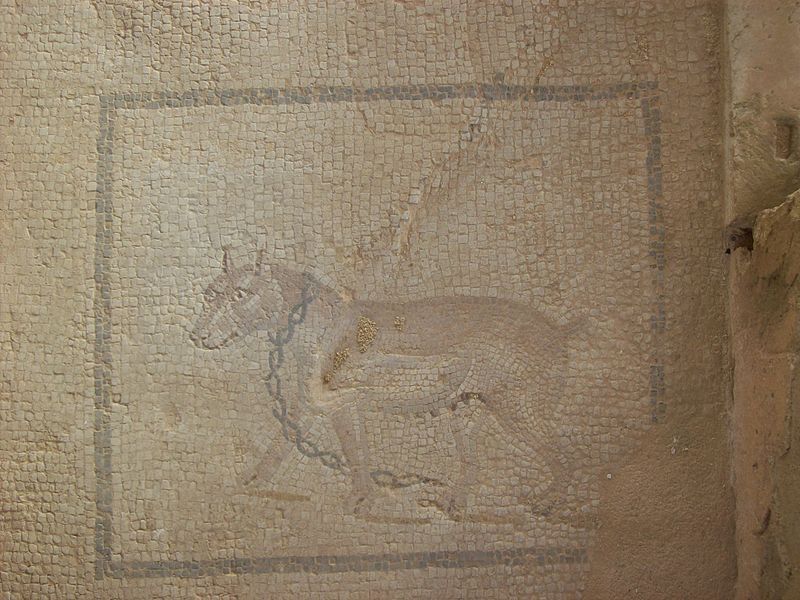 File:Lilibeo. Cave canem.jpg