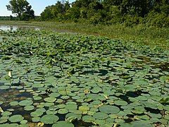 DeSoto National Wildlife Refuge