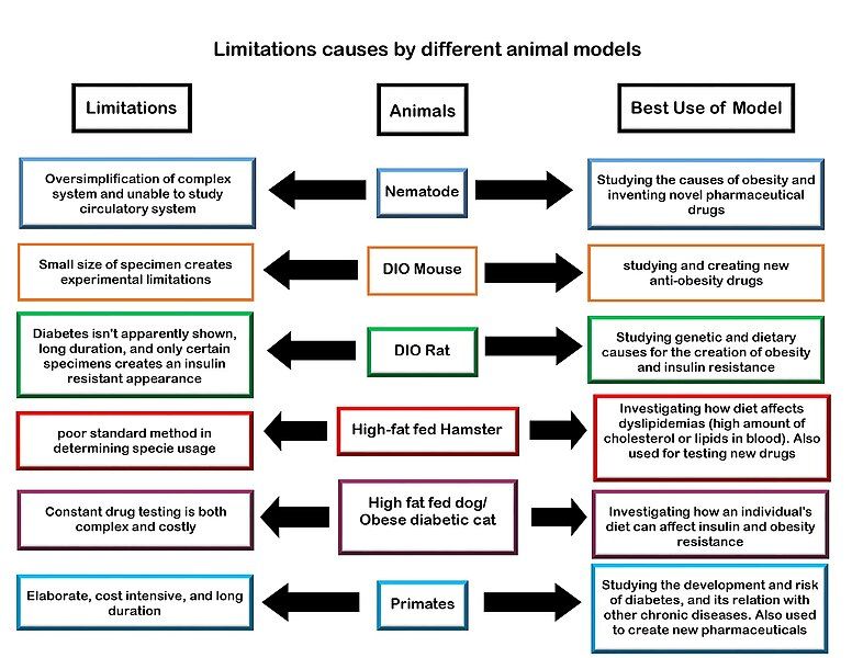 File:Limitation factors.jpg