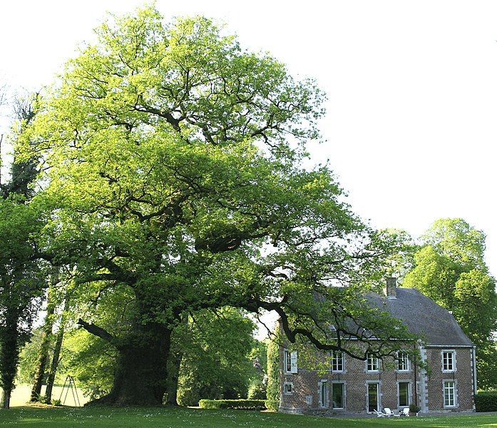 File:Mesnil-Église CH1aJPG.jpg