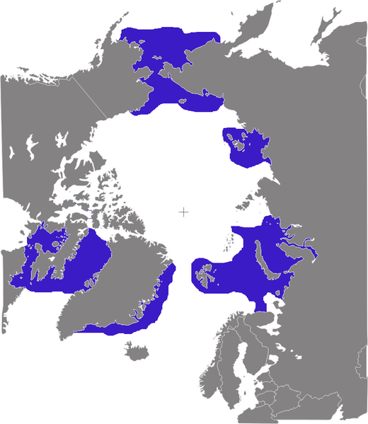 File:Odobenus rosmarus distribution.png