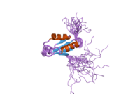 2dgp: Solution structure of the N-terminal RNA binding domain in Bruno-like 4 RNA-binding protein