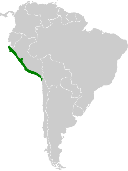 File:Platalina genovensium map.svg