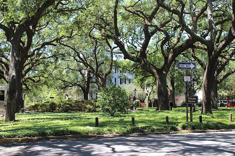 File:Pulaski Square, Savannah.jpg