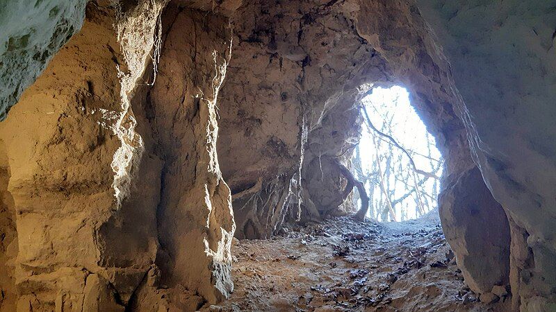 File:Rohrwald Schwedenhöhle Abendstimmung.jpg