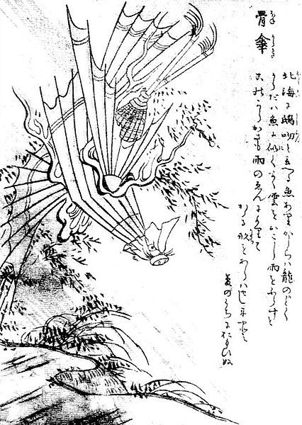 File:SekienHonekarakasa.jpg