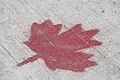 Image 8The maple leaf is the symbol most associated with Canadian identity. (from Culture of Canada)