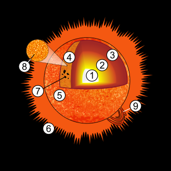 A diagram of the Sun