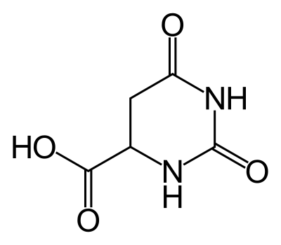 File:4,5-Dihydroorotic acid.svg