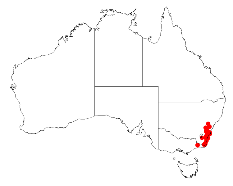 File:Acacia subtilinervisDistMap875.png