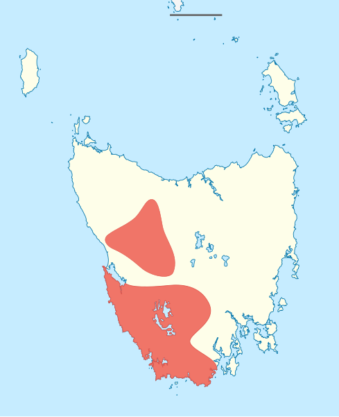 File:Actinotus suffocatus distribution.svg