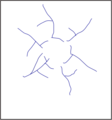 Annular drainage pattern.