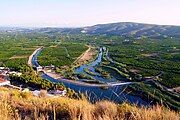 Xúquer river with irrigated orange orchards near Antella