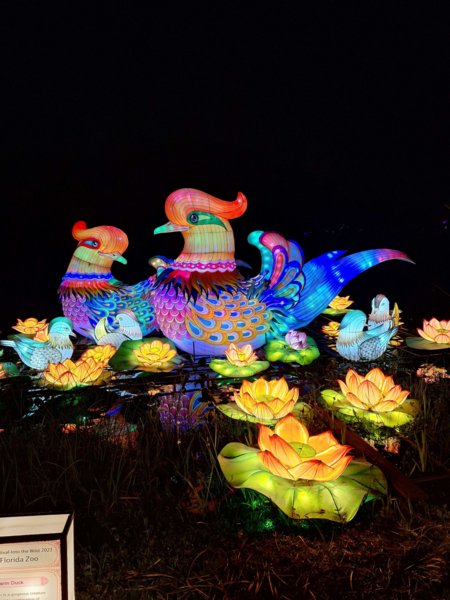 File:Bird Lanterns.png