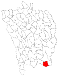 Location in Vaslui County