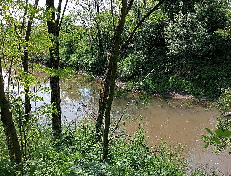 File:Borsa river.jpg